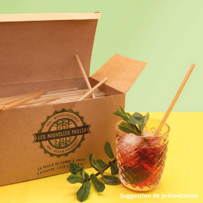 Paille en carton bio cocktail - Biodégradable en papier kraft - Le